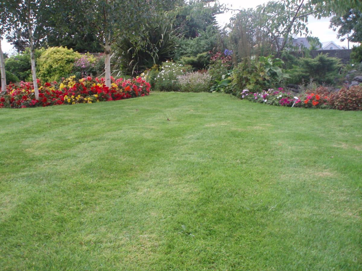 Rosdarrig Bed & Breakfast Boyle Bagian luar foto