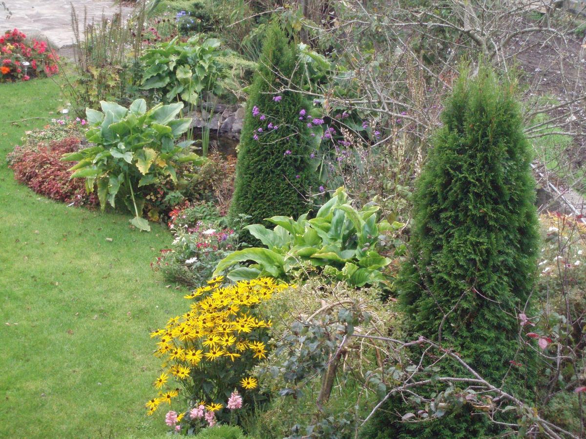 Rosdarrig Bed & Breakfast Boyle Bagian luar foto