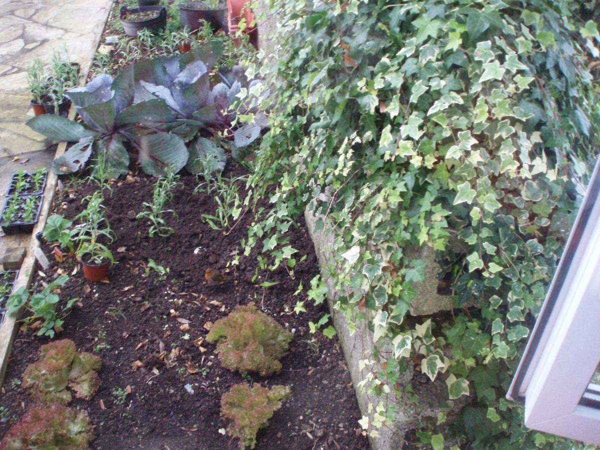 Rosdarrig Bed & Breakfast Boyle Bagian luar foto
